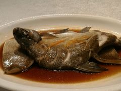 android_upload_pic-小蓝鲸湖北菜(八一路店)