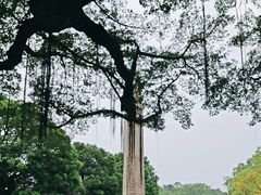 -广州中山纪念堂
