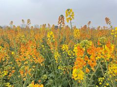 -中国天府农业博览园