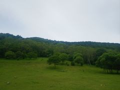 -大水川景区