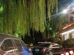 -鹊华居·地道鲁菜·海鲜·融合味(大明湖店)