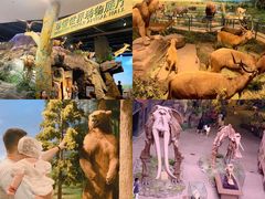 -陕西自然博物馆