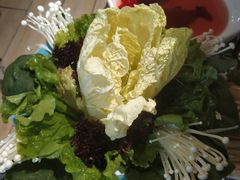 -青瓷火锅料理(西单大悦城店)