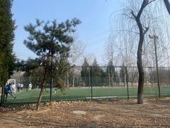 -太阳宫足球俱乐部
