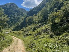 -靖西鹅泉风景区