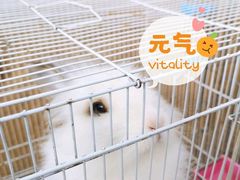 -前小桔亲子创意农场·草莓采摘·露营烧烤