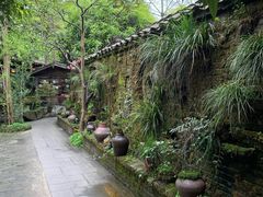 -青城甲(青城山店)