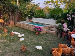 -HERRE·FARM 赫尔露营农场·团建聚会包场