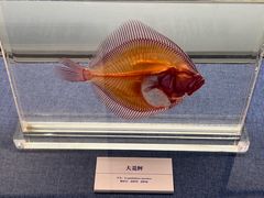 -大连自然博物馆