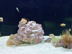 -沈阳海洋探索中心