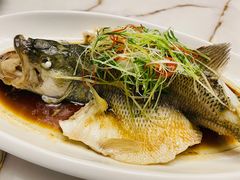 -巢私厨.音乐川菜馆(东明店)