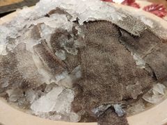 鲜毛肚-渝宗老灶火锅(时代天街店)