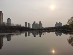 -前关湿地公园