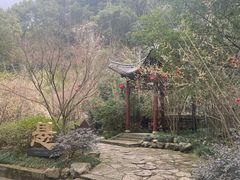 -大慈岩风景区