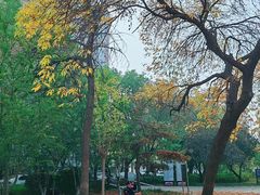 -元大都城垣遗址公园