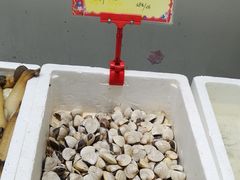 -蚝专家(北滘店)