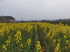 -中国天府农业博览园