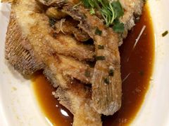 -金手勺东北菜馆(大屯北路店)