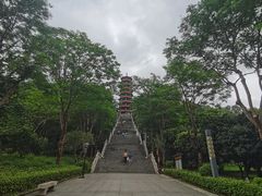 -红花山公园