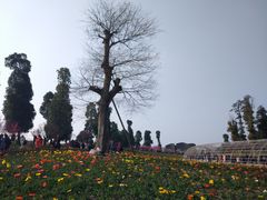 -秀丽东方