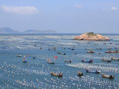-枸杞岛