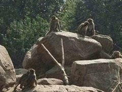 -西安秦岭野生动物园