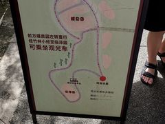 -都江堰中华大熊猫苑