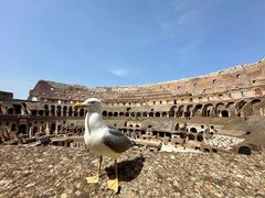 -广州中医药大学深圳医院(福田)