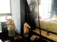 -乐尚音乐空间·钢琴·声乐·架子鼓(会展中心店)