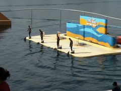 -秦皇岛乐岛海洋王国