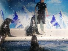 -成都浩海立方海洋公园