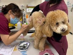 -美联众合动物医院·24h京西诊疗中心