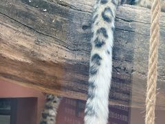 -青藏高原野生动物园