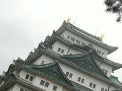 -矢场猪(名古屋站三井楼北馆店)