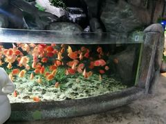 -福州罗源湾海洋世界旅游区