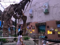 -陕西自然博物馆