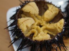 活海胆-海胆小馆(春柳店)