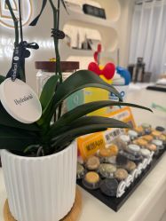 -海菲秀·飞顿牛奶光·LDM官方授权中心美轮美浣瓷感美肌