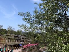 -雅安上里古镇
