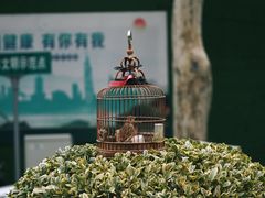 -江苏省美术馆(长江路新馆)