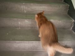 -粤学粤好·港式粤语文化及学习中心(福田南山都有店)