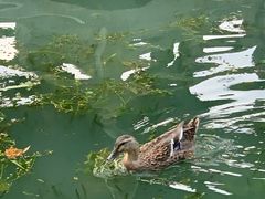 -常州海昌海洋探索馆