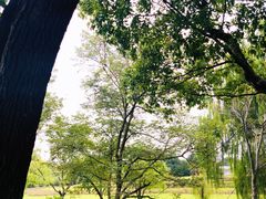 景点-东方绿舟景区