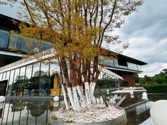 -云里小坐·海泉湾·团建·宴席·下午茶(金堂海泉湾店)