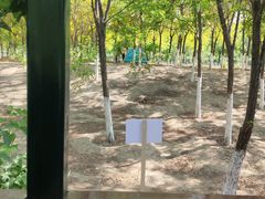 -西青郊野公园