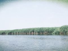 -白洋淀景区