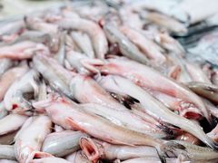 -老字号蛇口德记烧腊饭店·海鲜加工