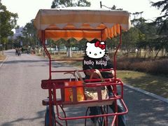 -白塘生态植物园