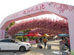 -南汇桃花村