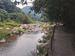 -四会奇石河风景区